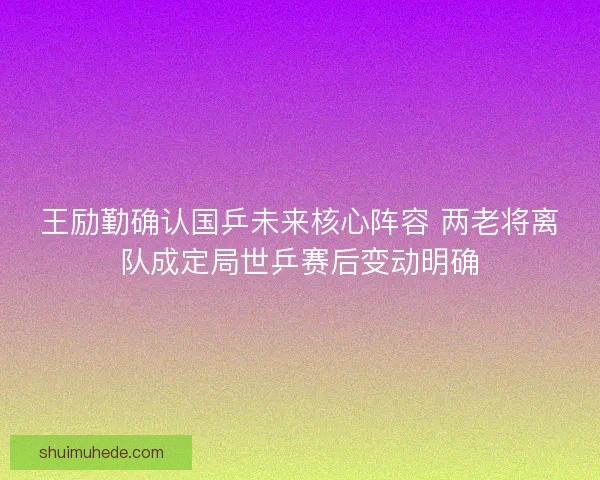 王励勤确认国乒未来核心阵容 两老将离队成定局世乒赛后变动明确