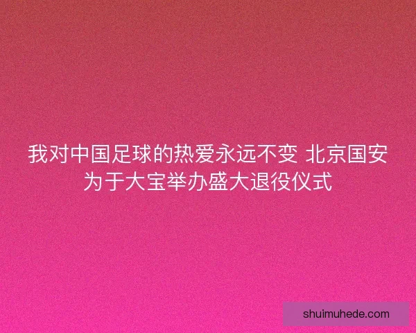 我对中国足球的热爱永远不变 北京国安为于大宝举办盛大退役仪式