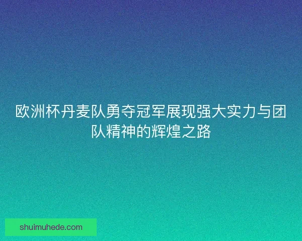 欧洲杯丹麦队勇夺冠军展现强大实力与团队精神的辉煌之路